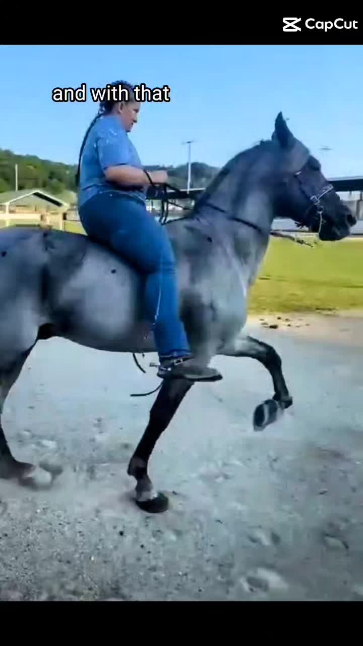 @Libby🐾❤️🐴