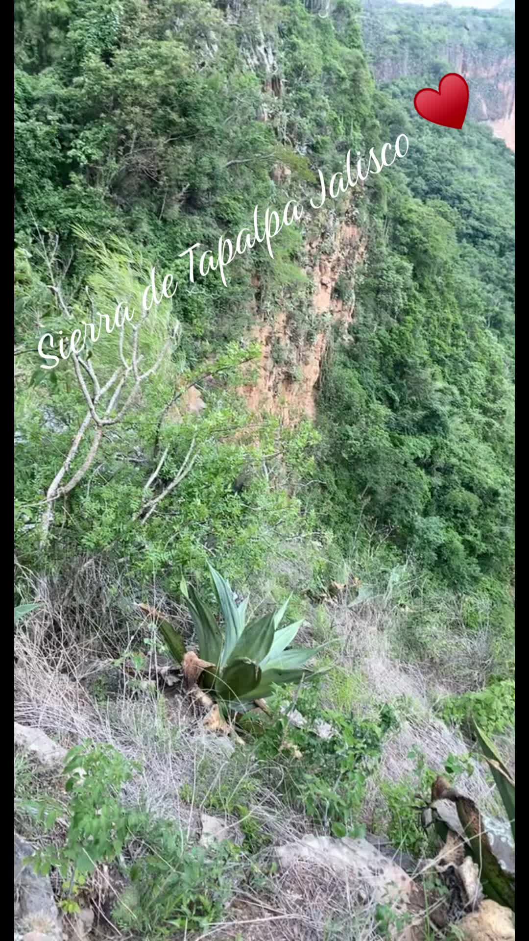 @TapatiaMimi✝️👑💎💃🦩🌎✨🫦