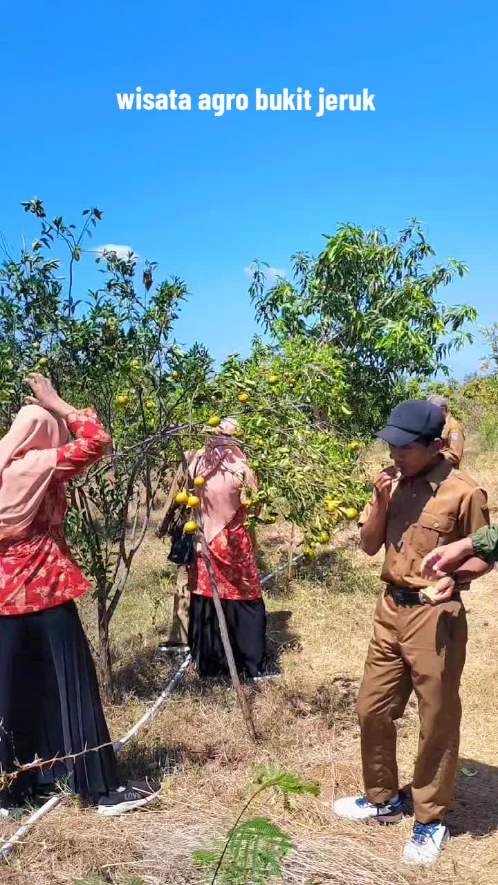 @Wisata Agro Bukit Jeruk