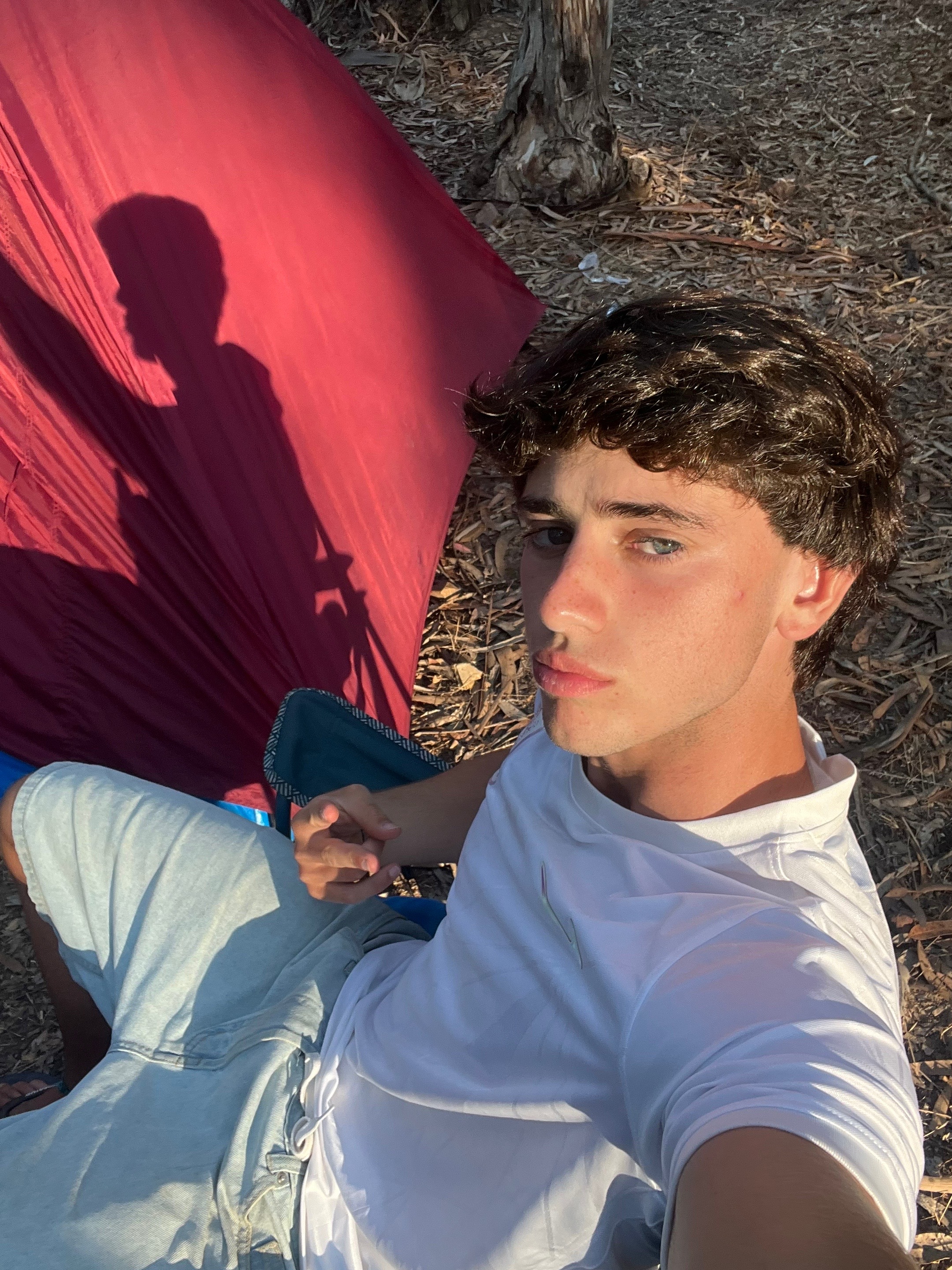 @tomas raposo