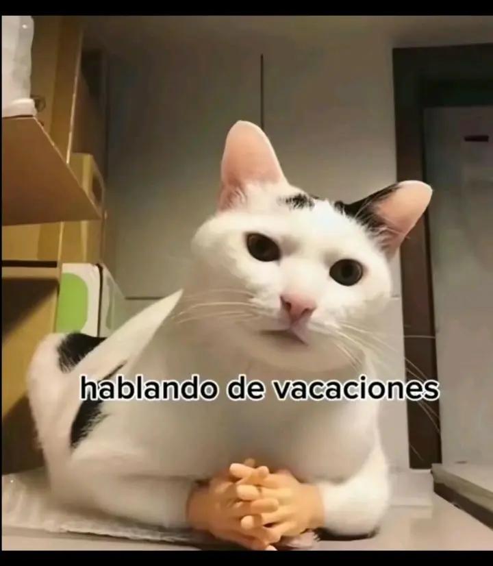 @Soy Carlitos😶‍🌫️
