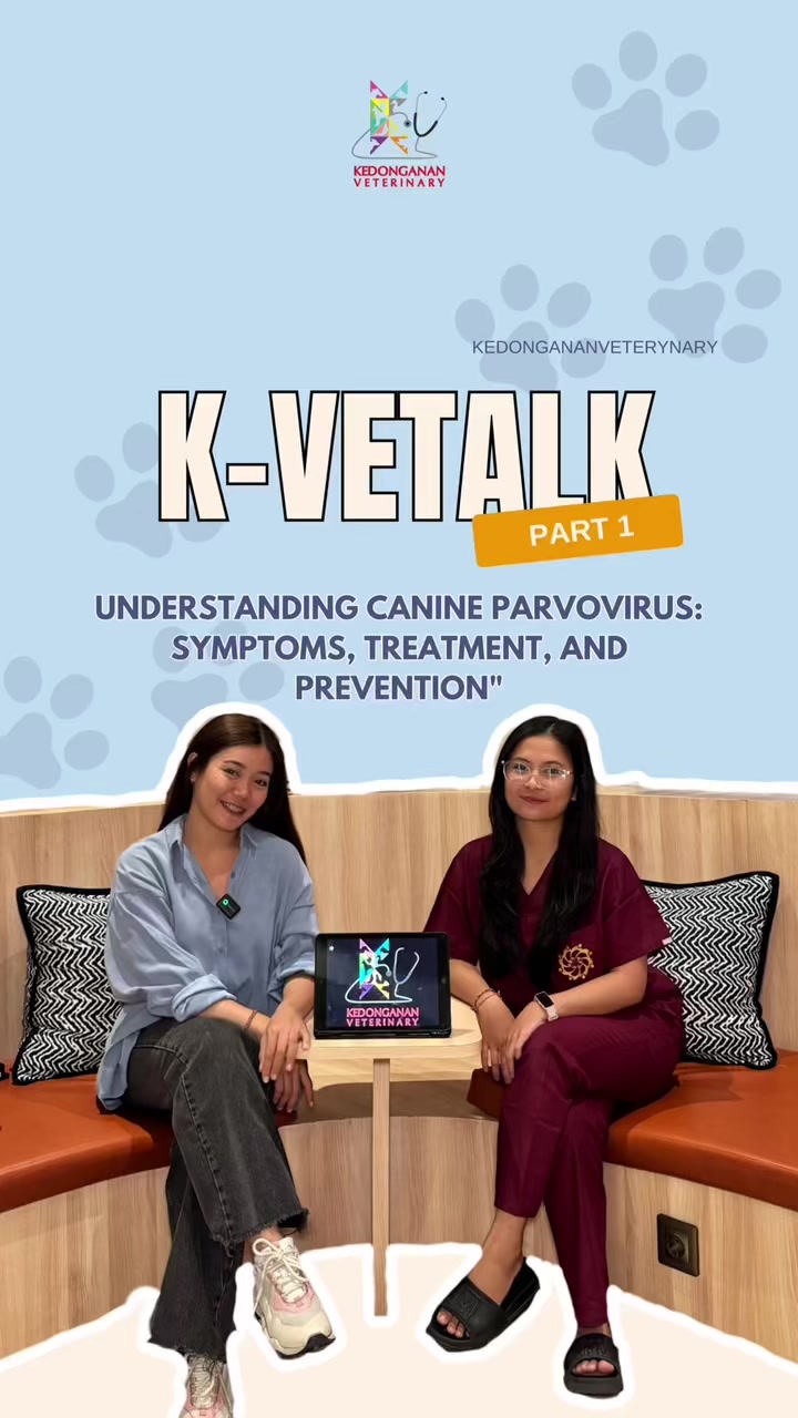 @kedonganan vet