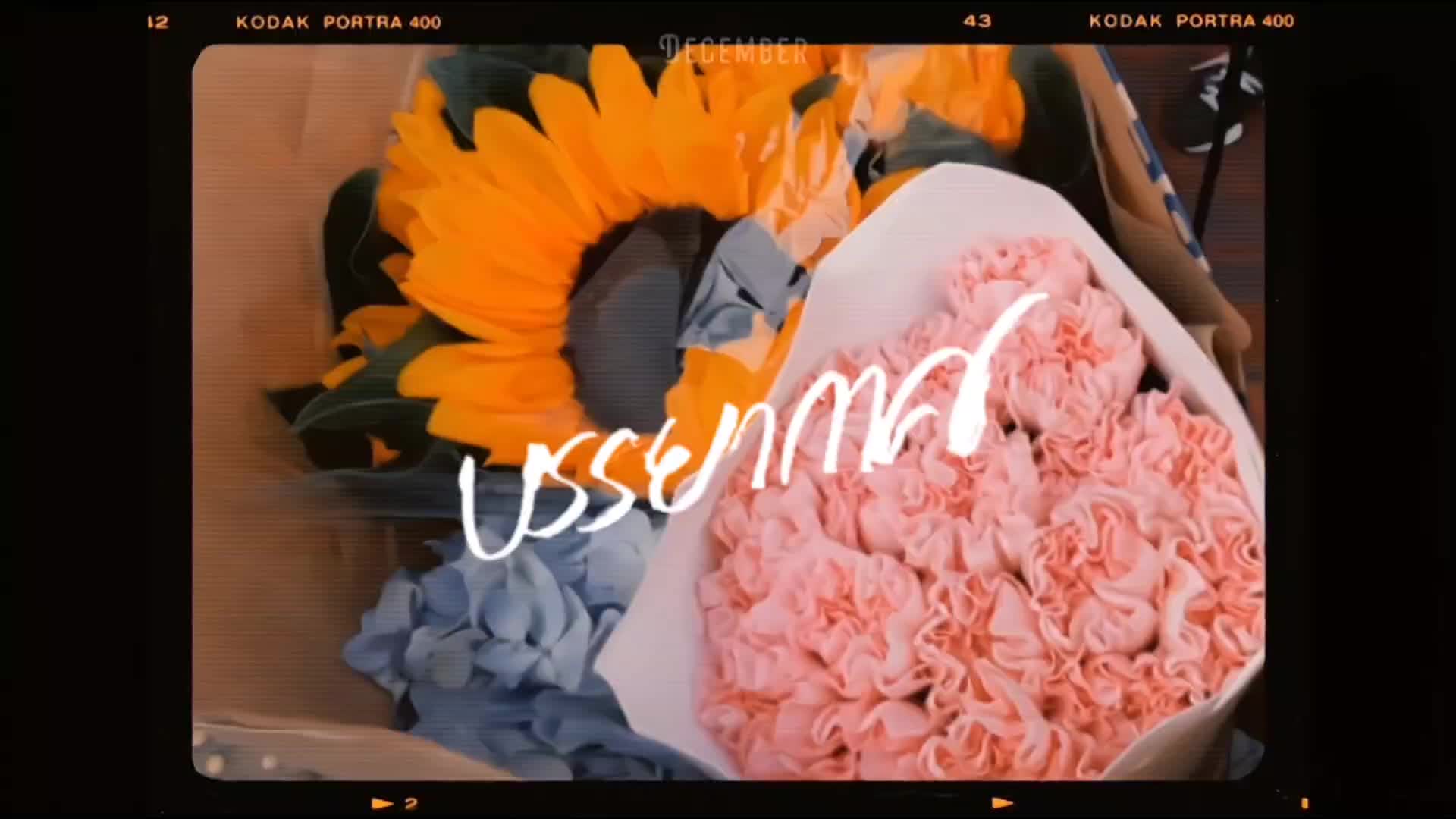 @𝘋𝘦𝘤𝘦𝘮𝘣𝘦𝘳
