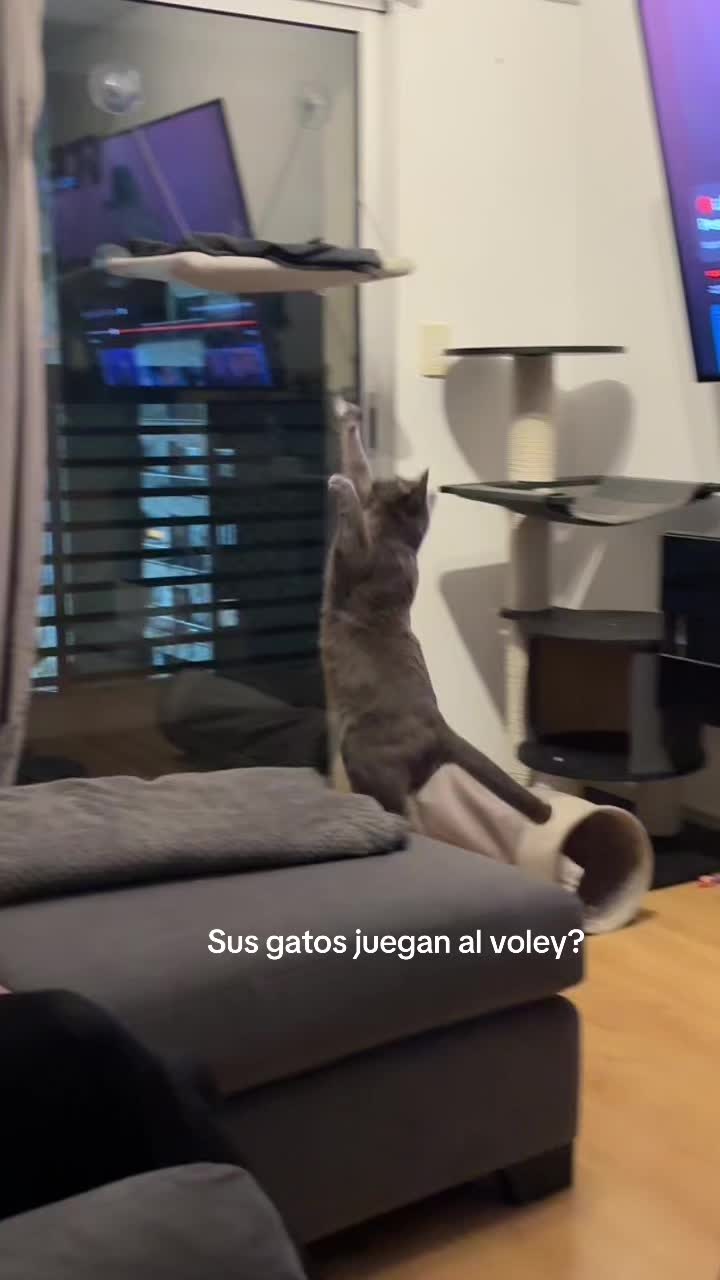 @Cande Rodriguez