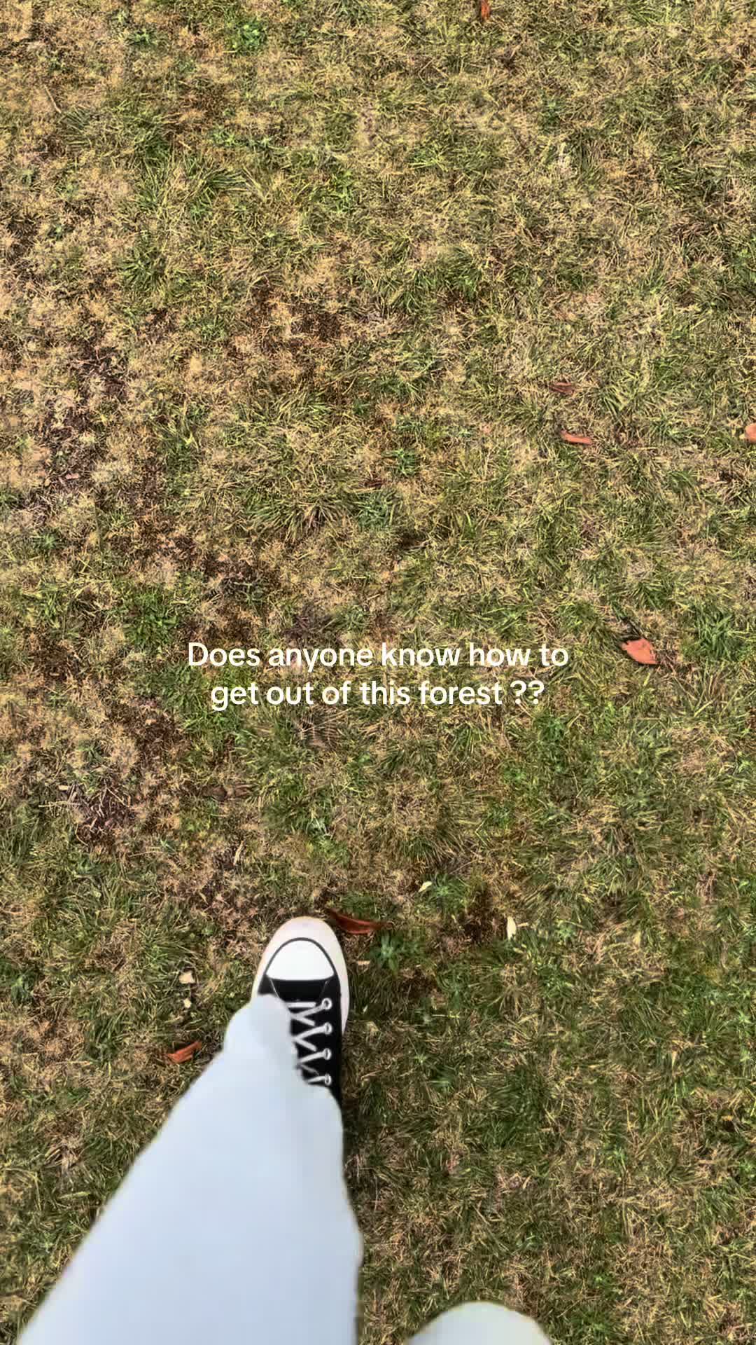 @Dina