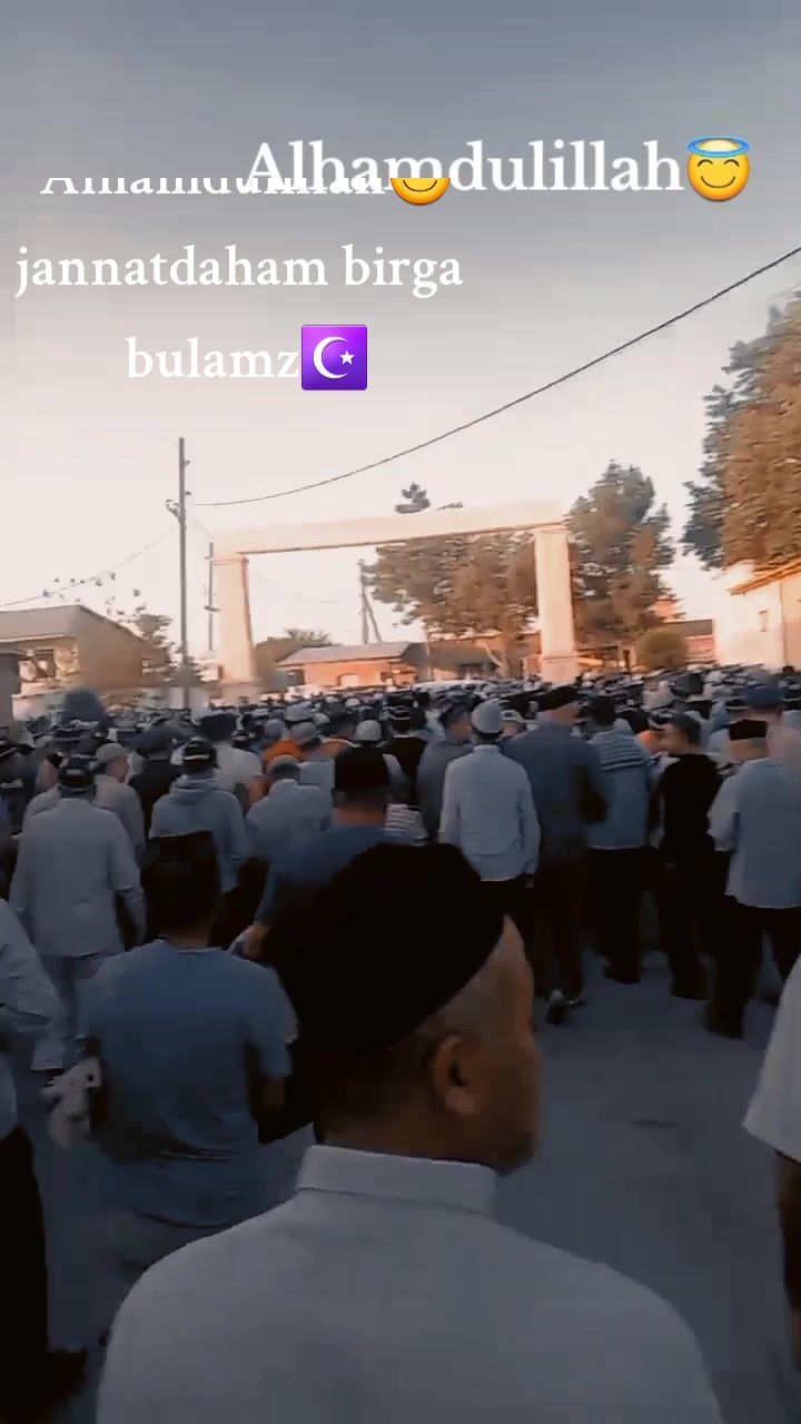 @1_nurmamatov.mee