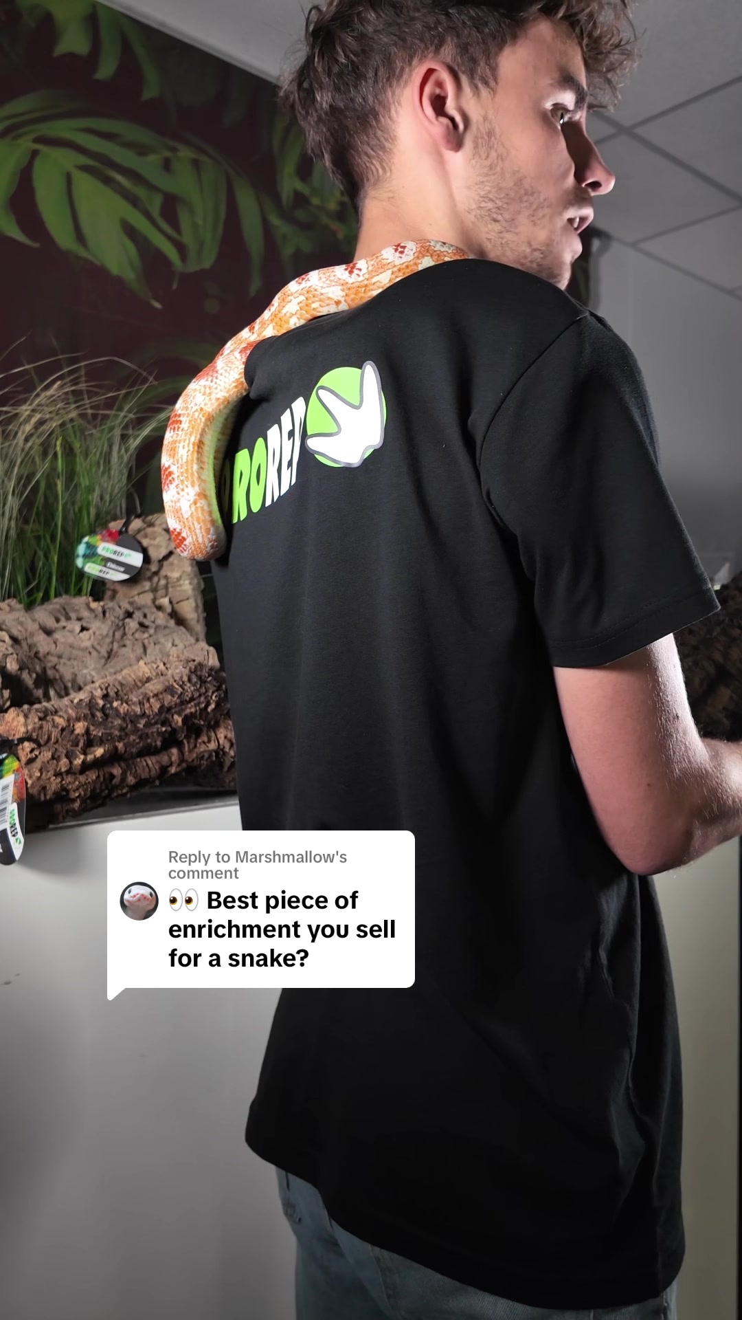@prorep_reptile