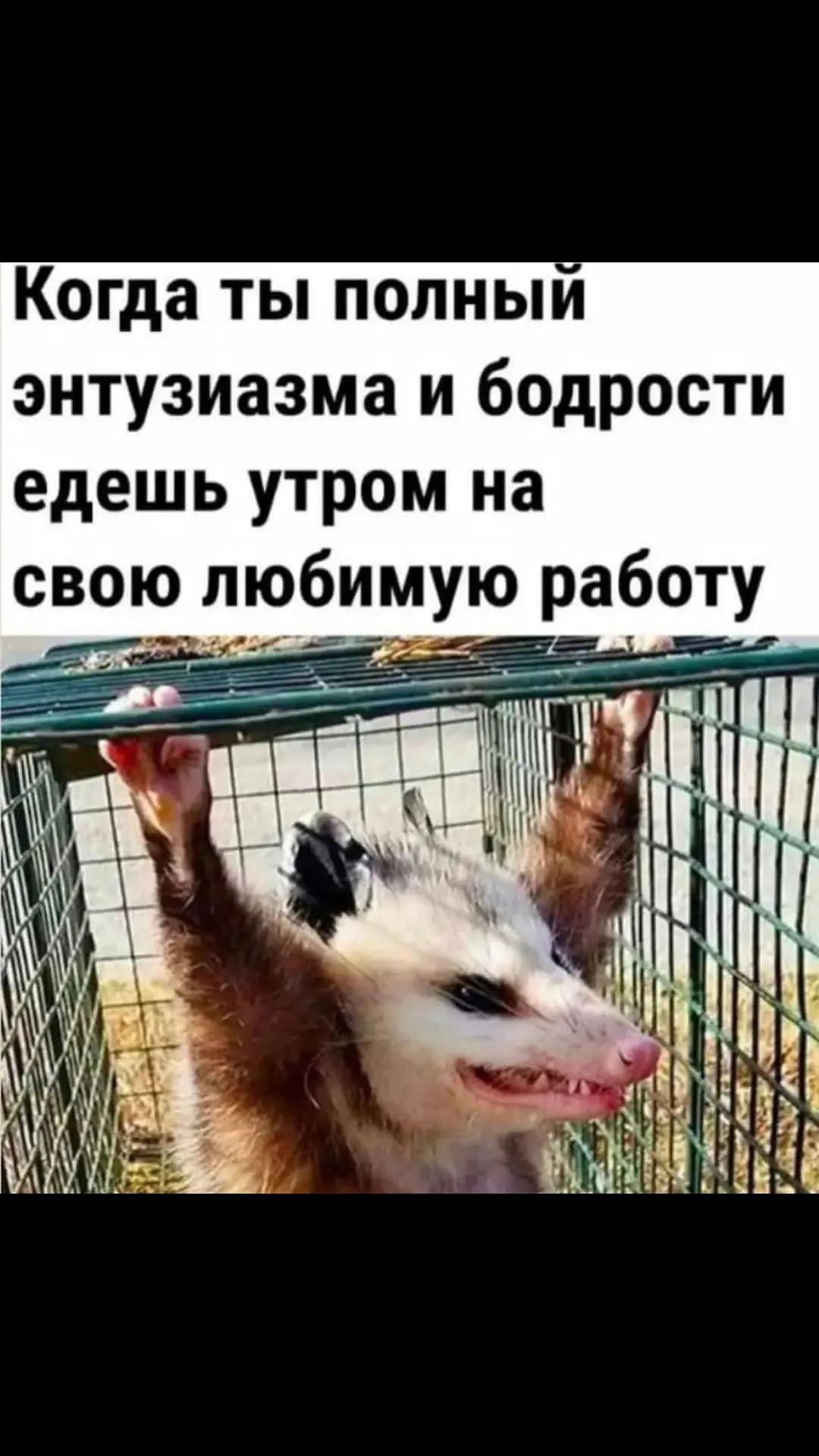 @Alex Elfov