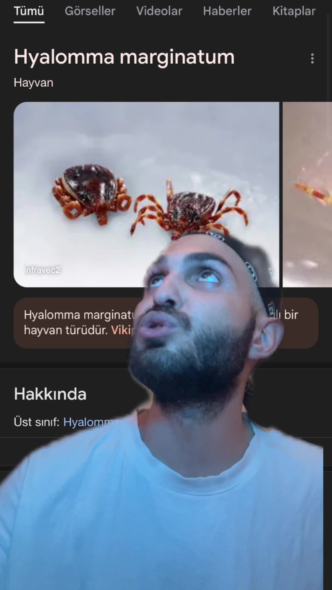 @Umut Acar