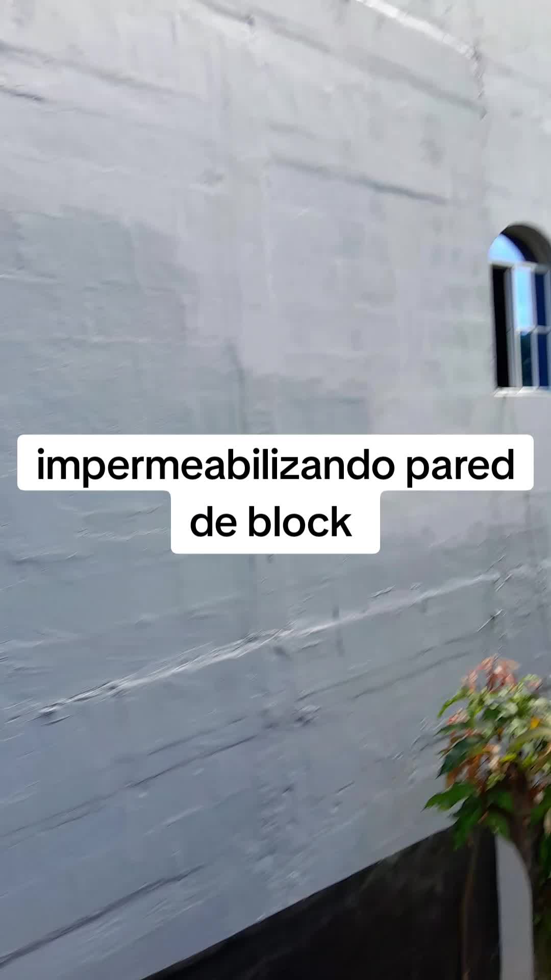 @Luis Guevara