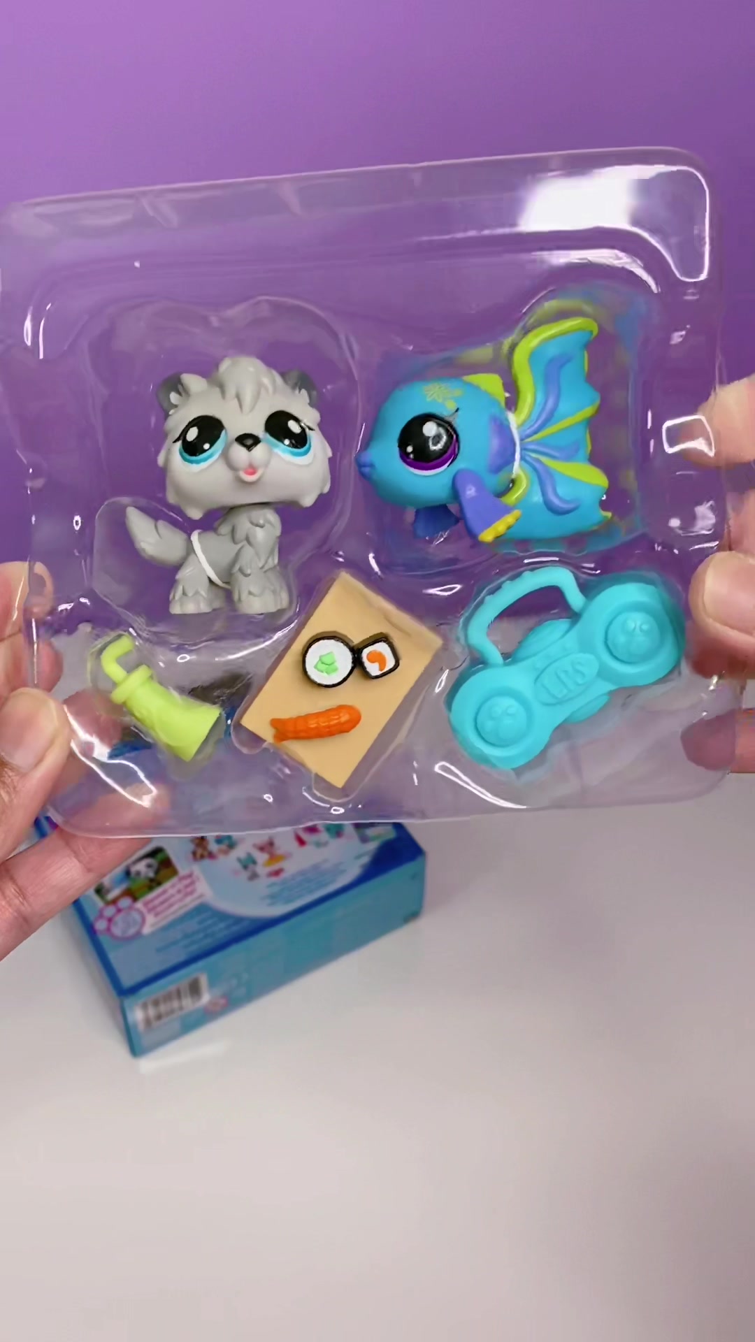 @ccollectionzasmr