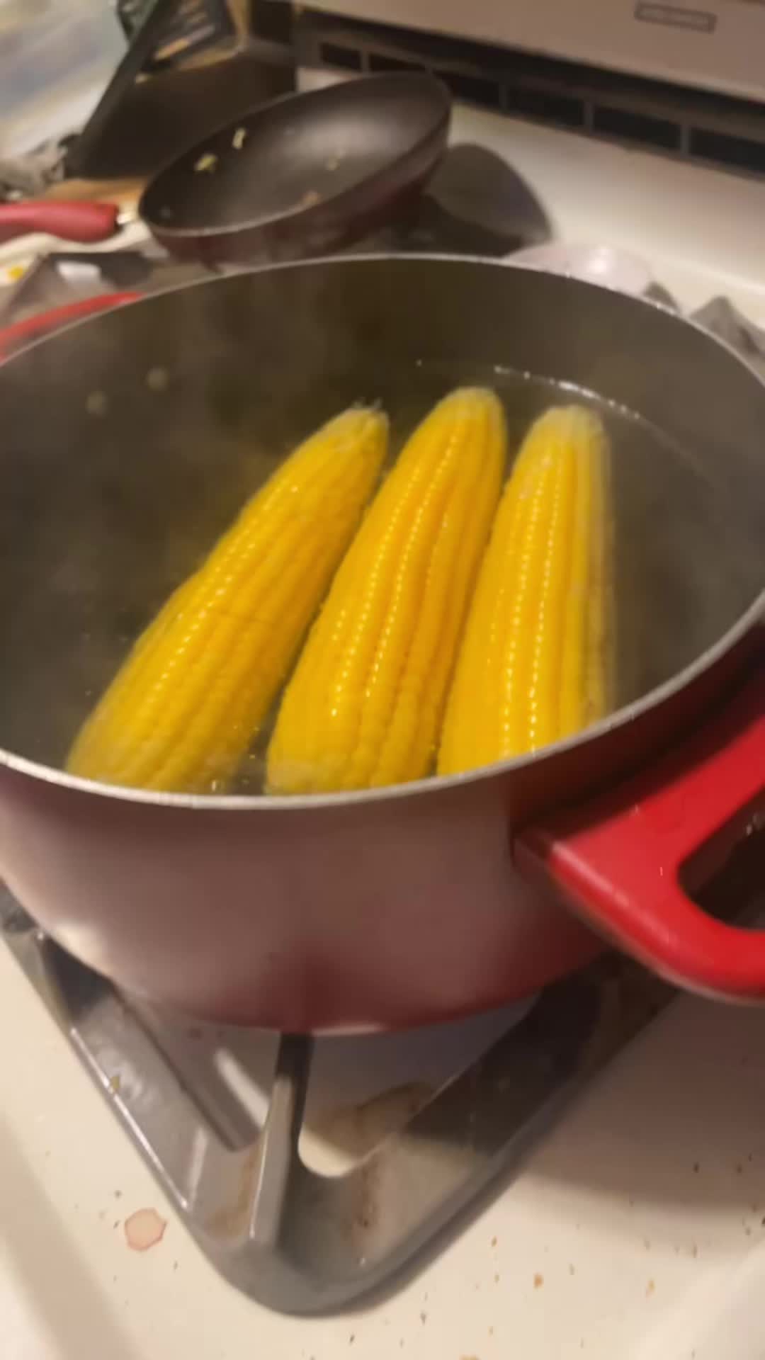 @ġṛ𖦏ċ&euml;&yuml;