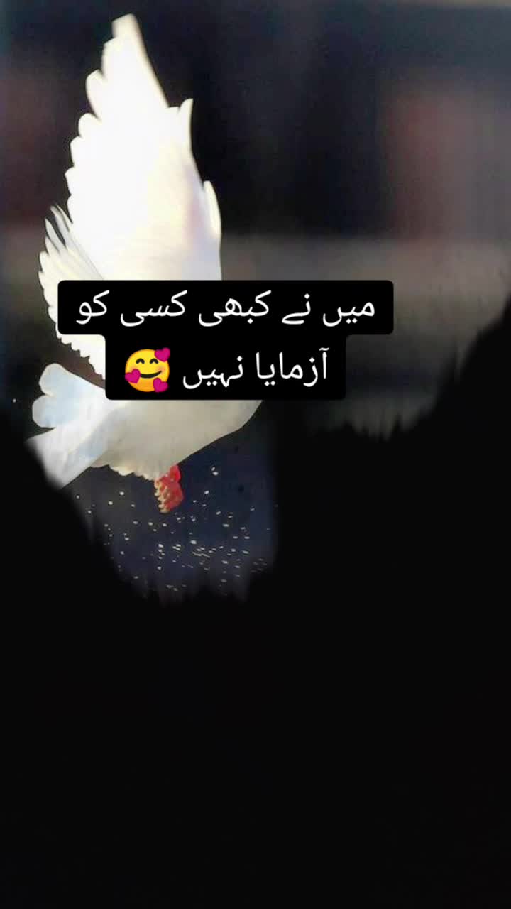 @💢ایمان فاطمہ💢