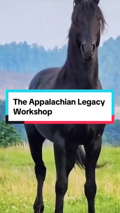 @Maureen | Equine Photographer