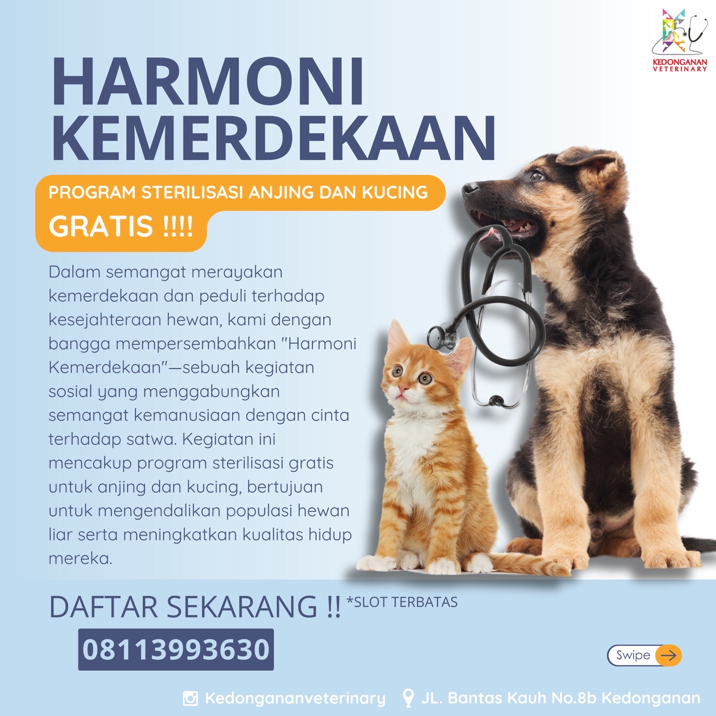 @kedonganan vet