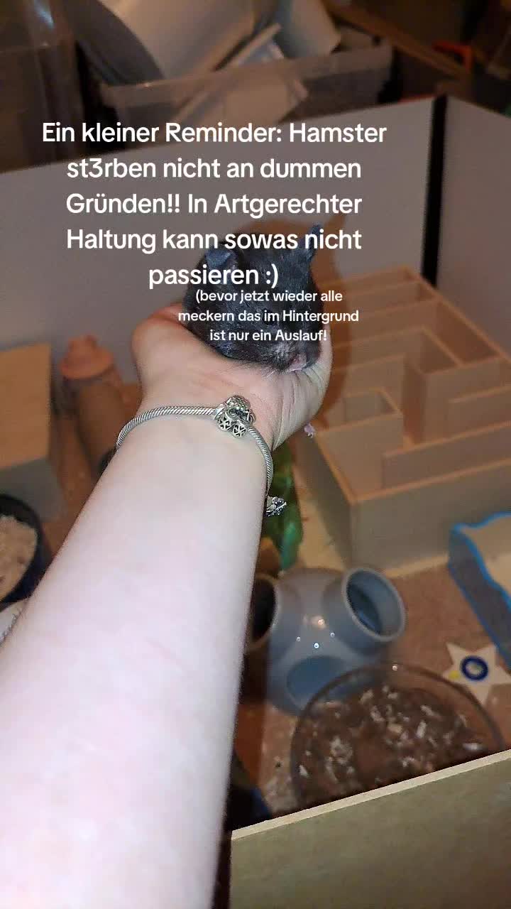 @wondapaw