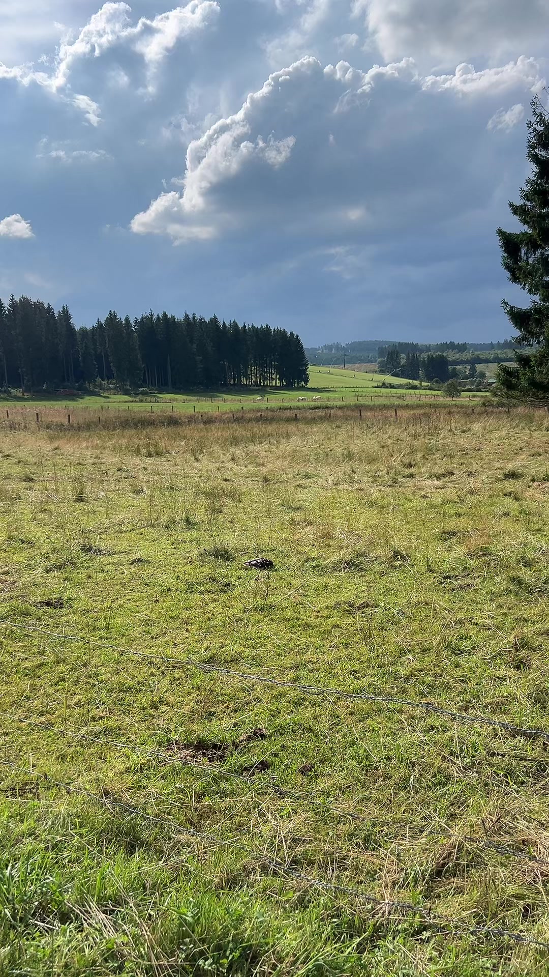 @Fardau Den Hartog-Ni