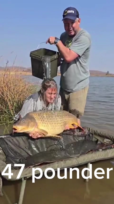 @yvettewessels1