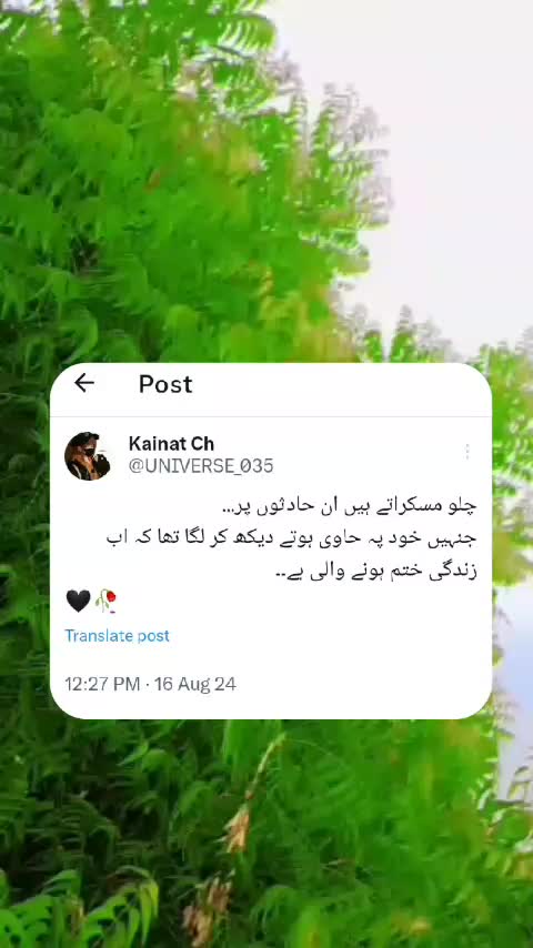 @Kainat Ch