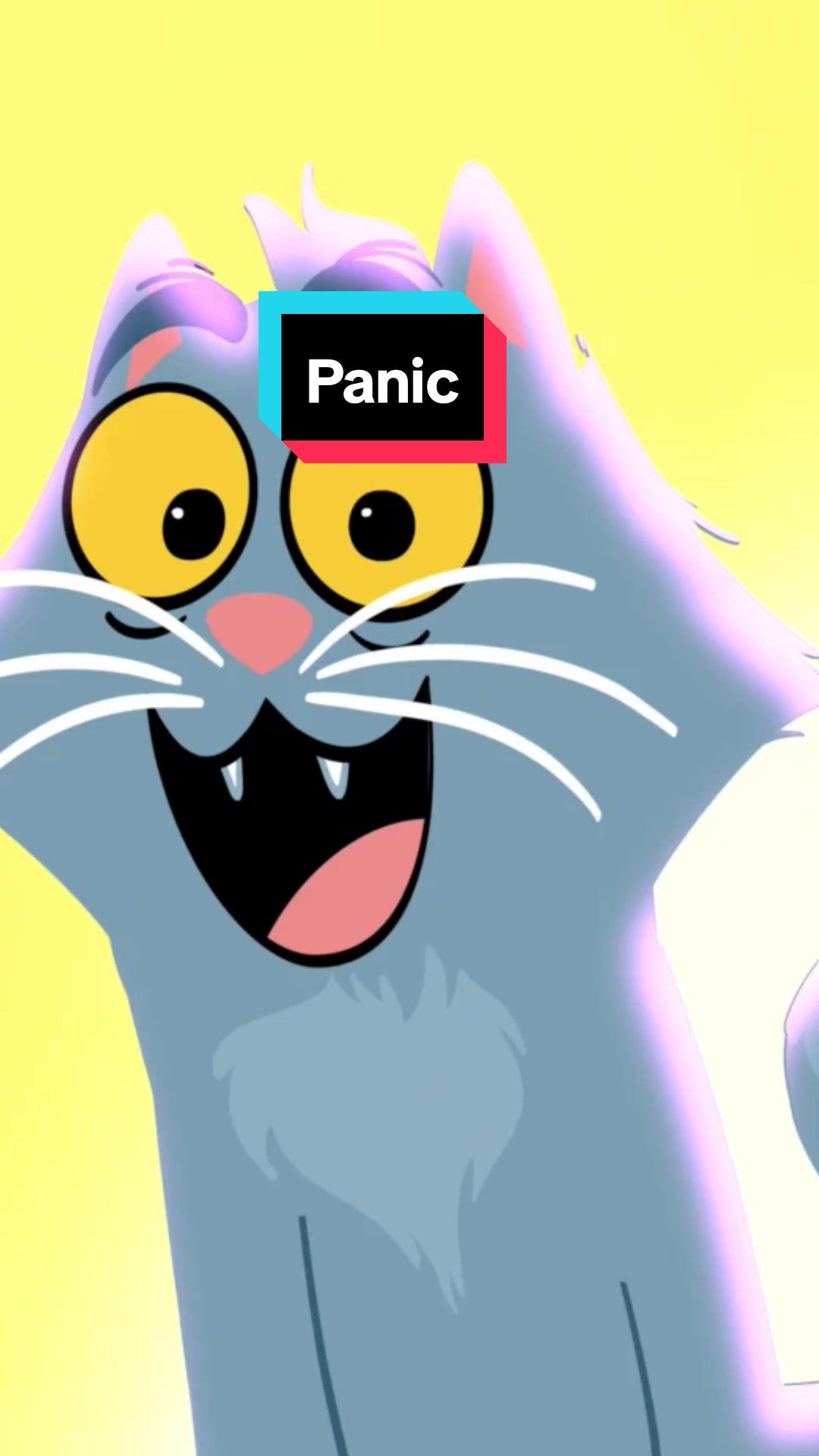 @Sydney the Song Cat