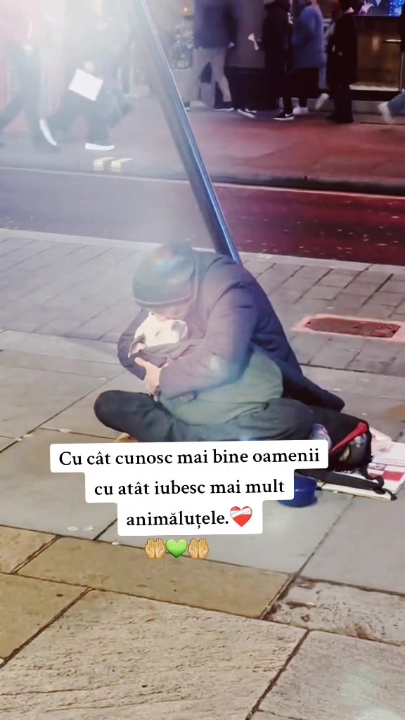 @Dani Mifto