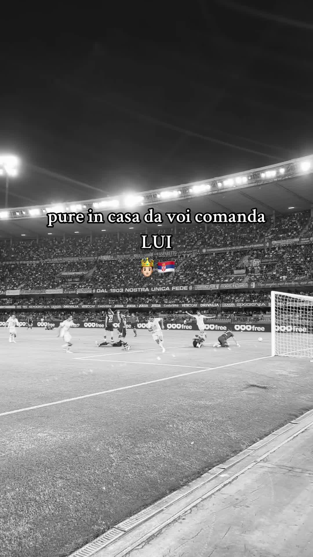 @lucacxz7