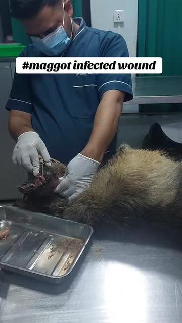 @Bhatbhateni Animal hospital