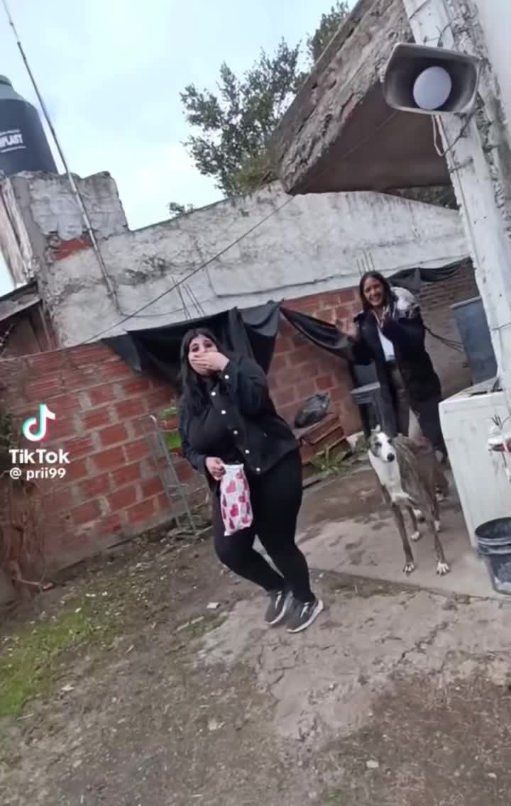 @Diego Alvarenga