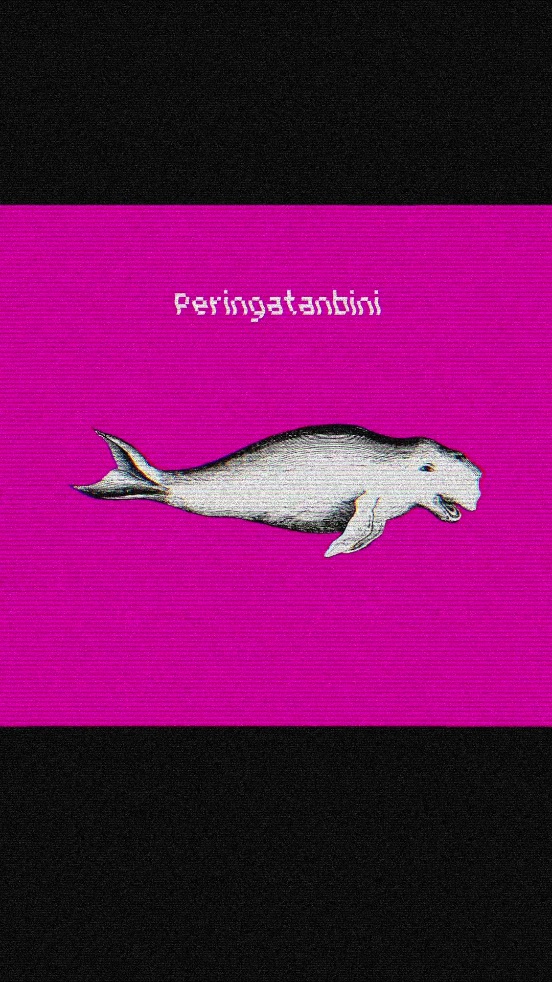 @KucingBelang