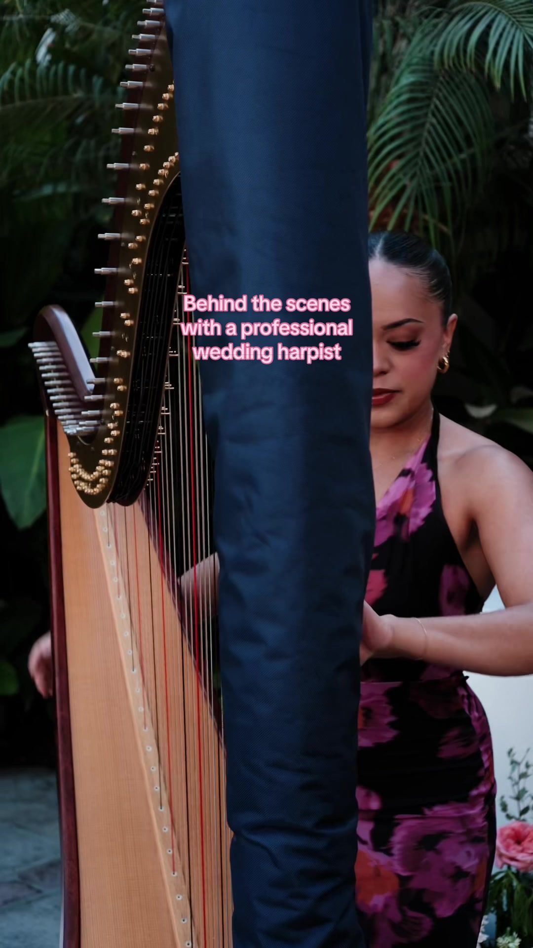 @betaniarodriguezharp