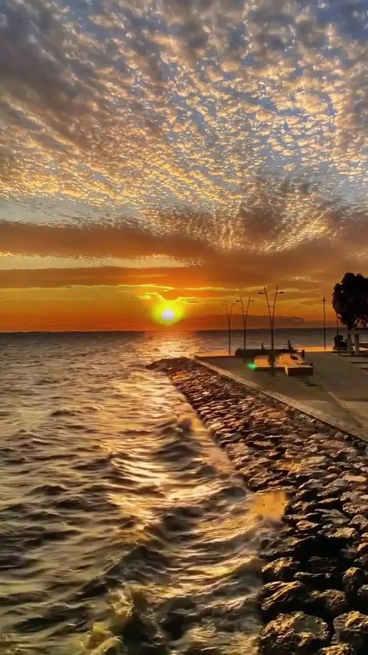 @antonellagaudino61