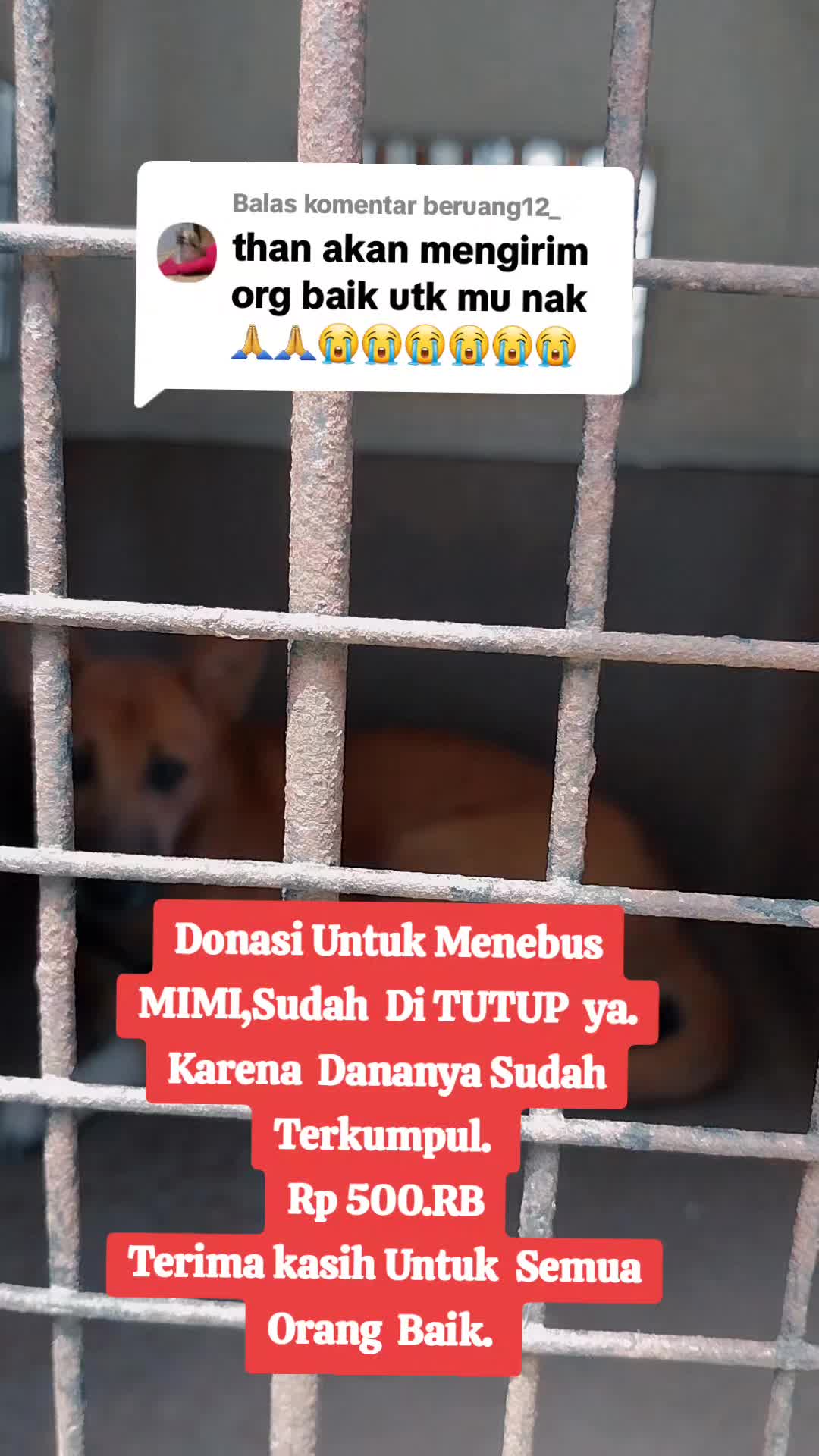 @KOKA_KOLA_FAMILY