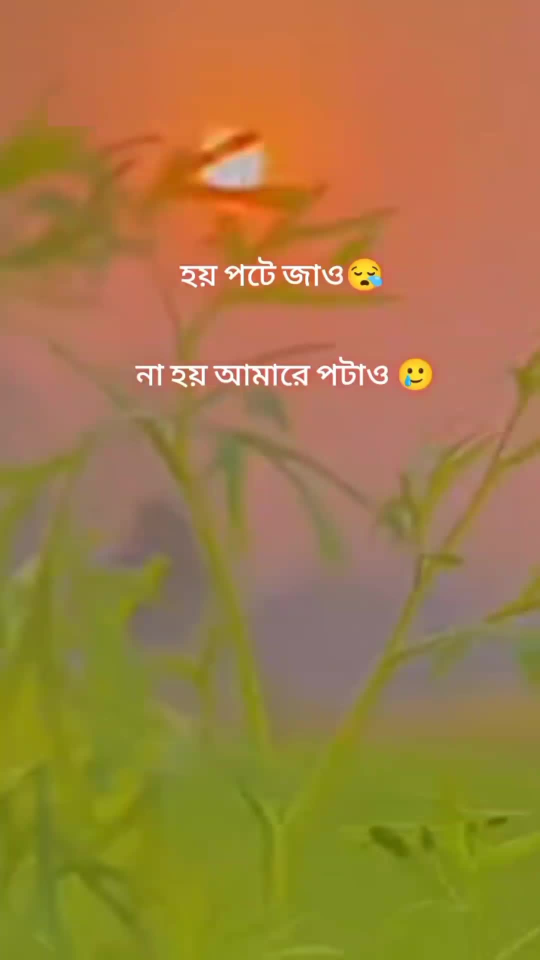 @@edaslankoc