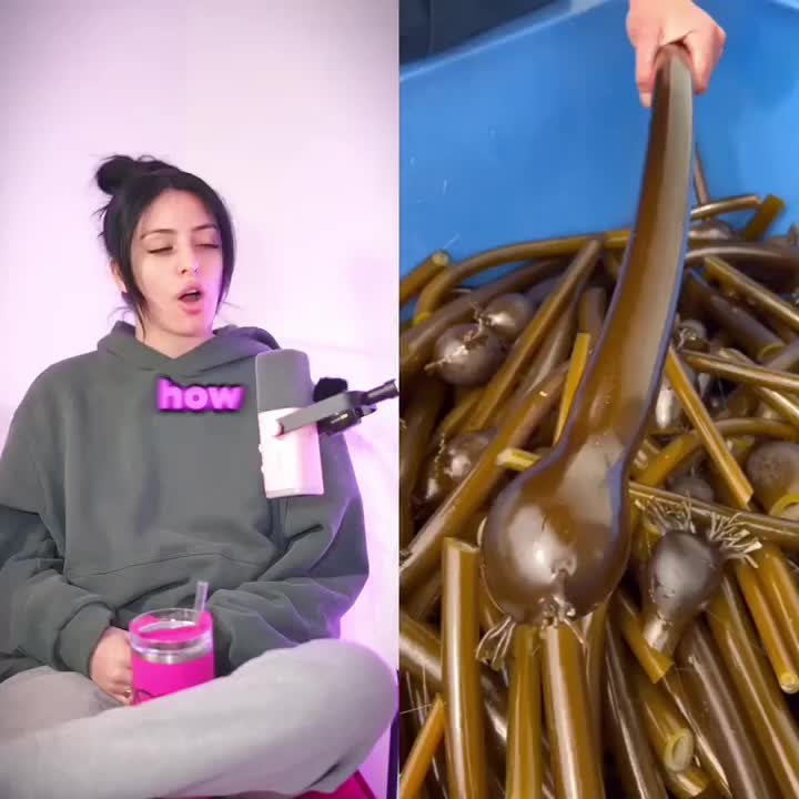 @jujui66