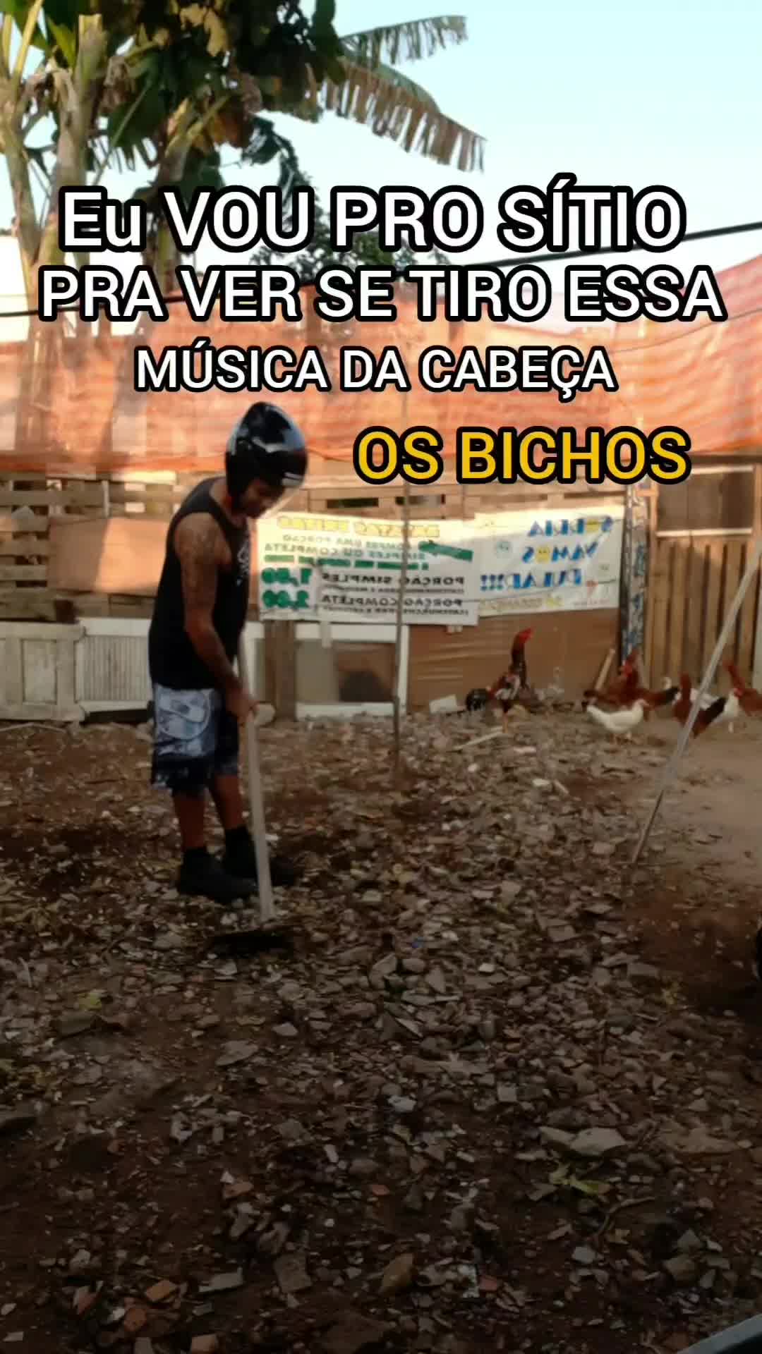 @Vinicius Aquino675