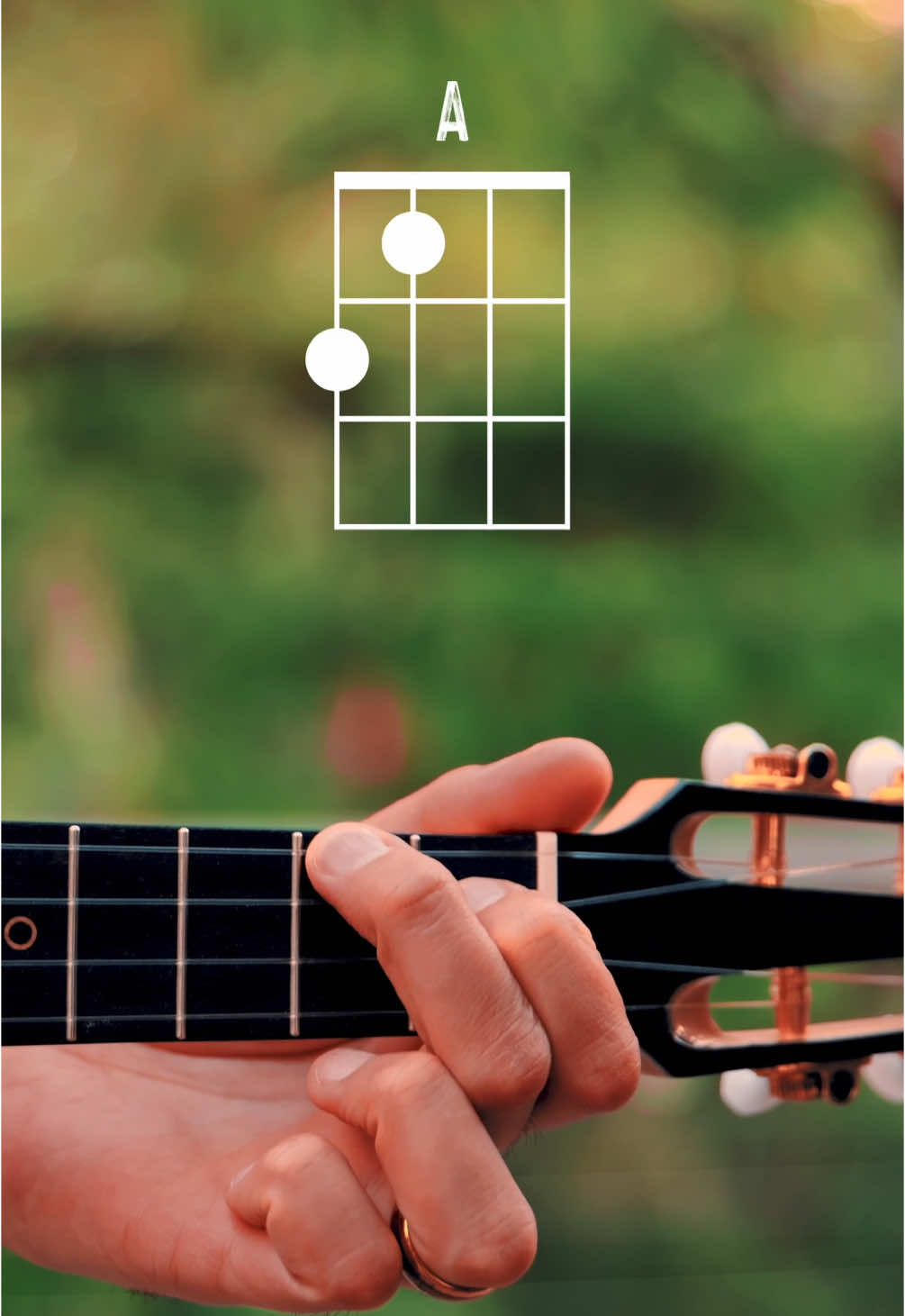 @The Groovy Guitar Dude