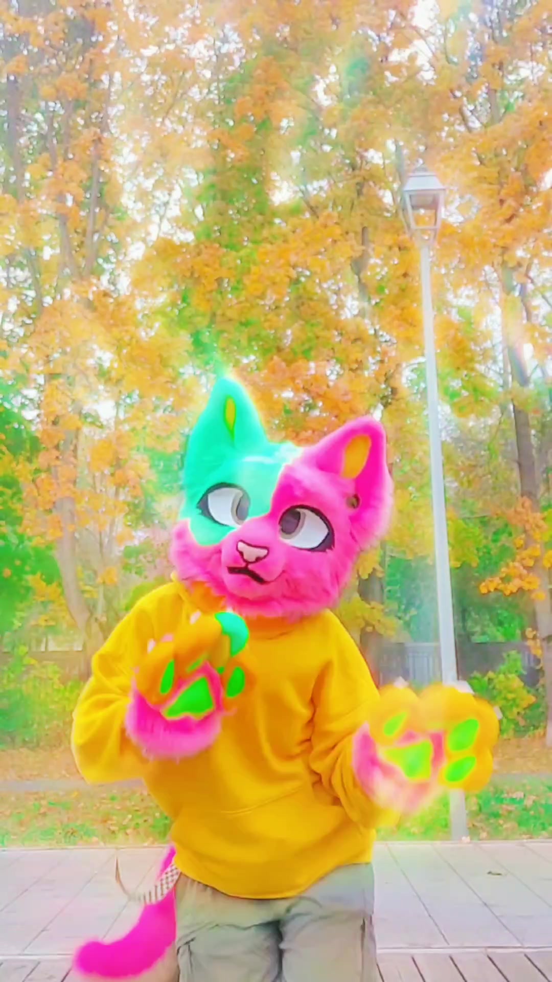 @silly doggo | @