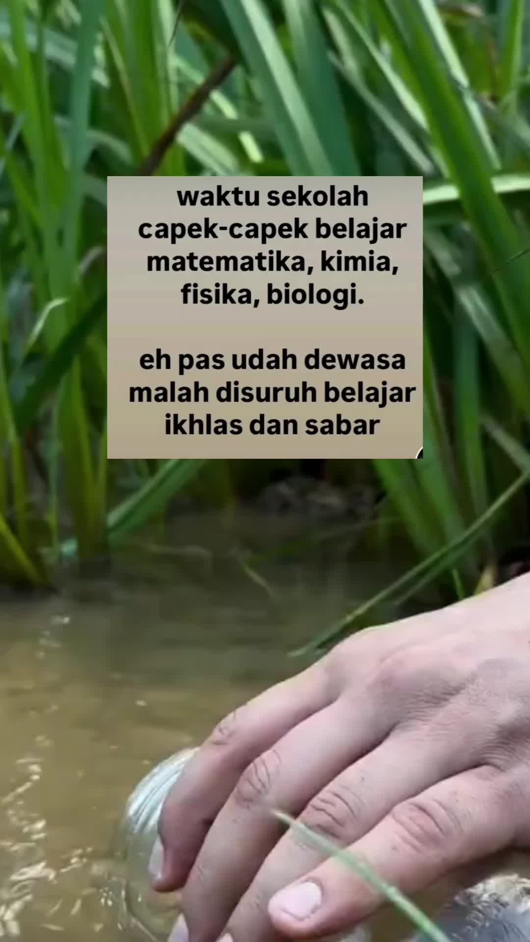 @elsa&hanan