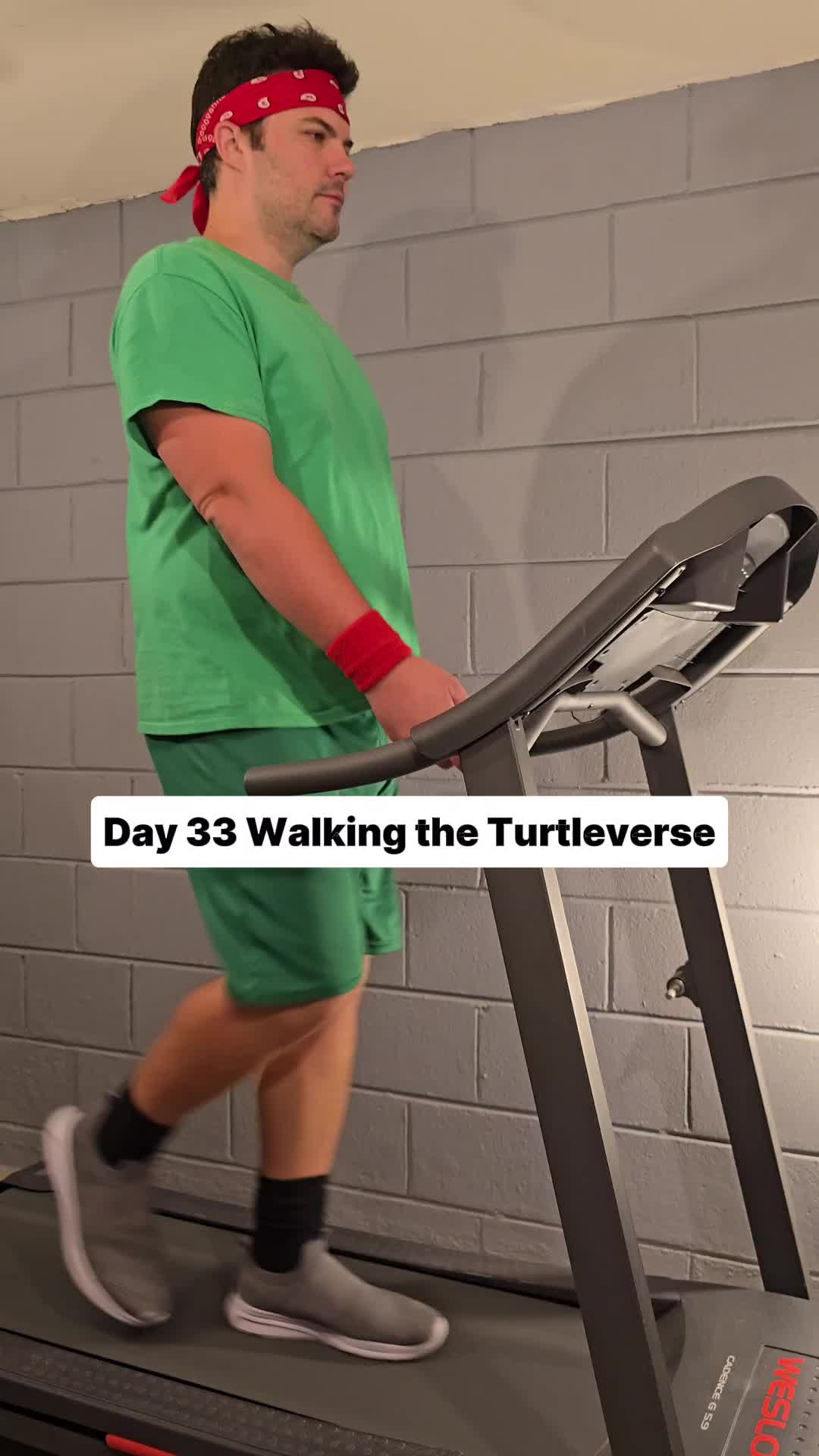 @Walking the Turtleverse