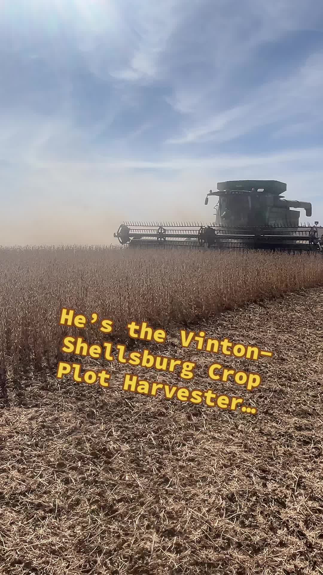 @vsffa