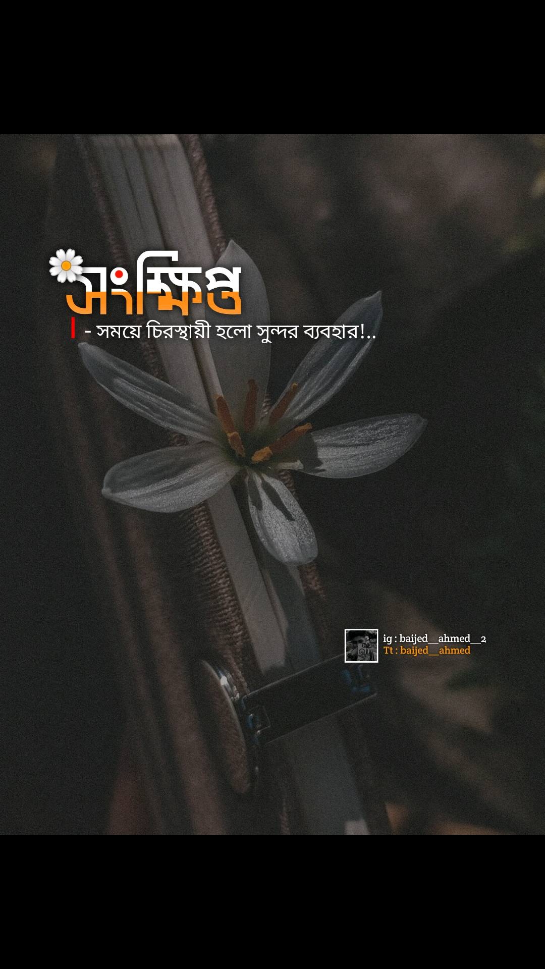 @🦋 𝗕 𝗔 𝐈 𝗝 𝗘 𝗗 🦋