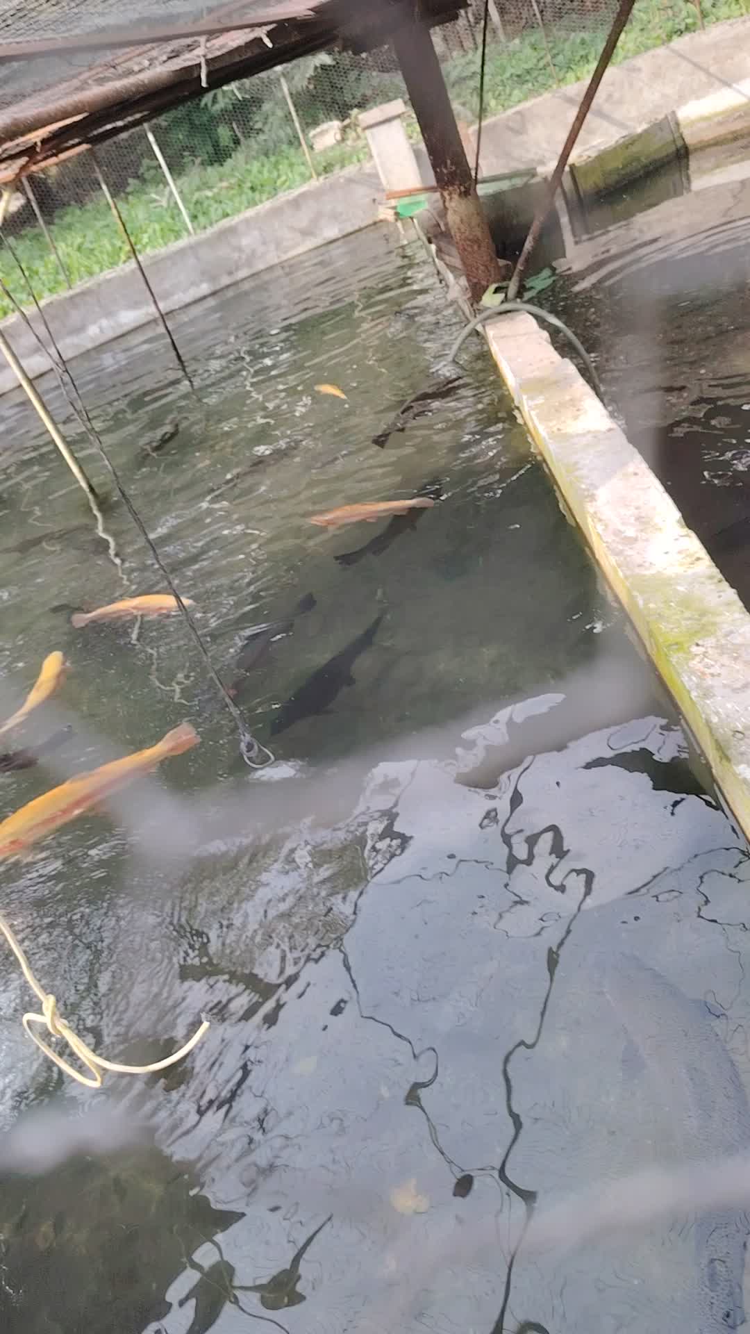 @Денис Чотари