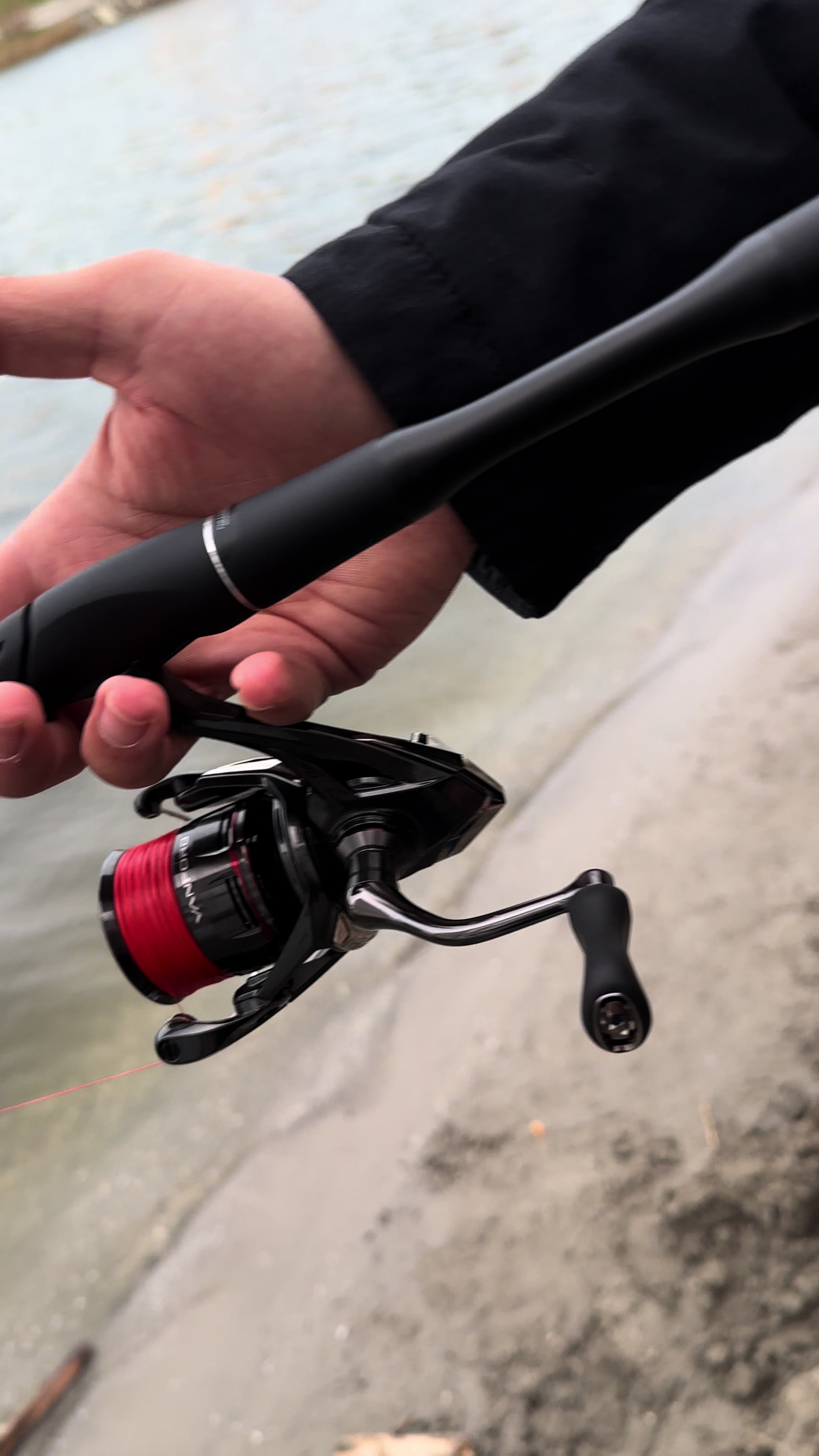 @ViennaDsFishing