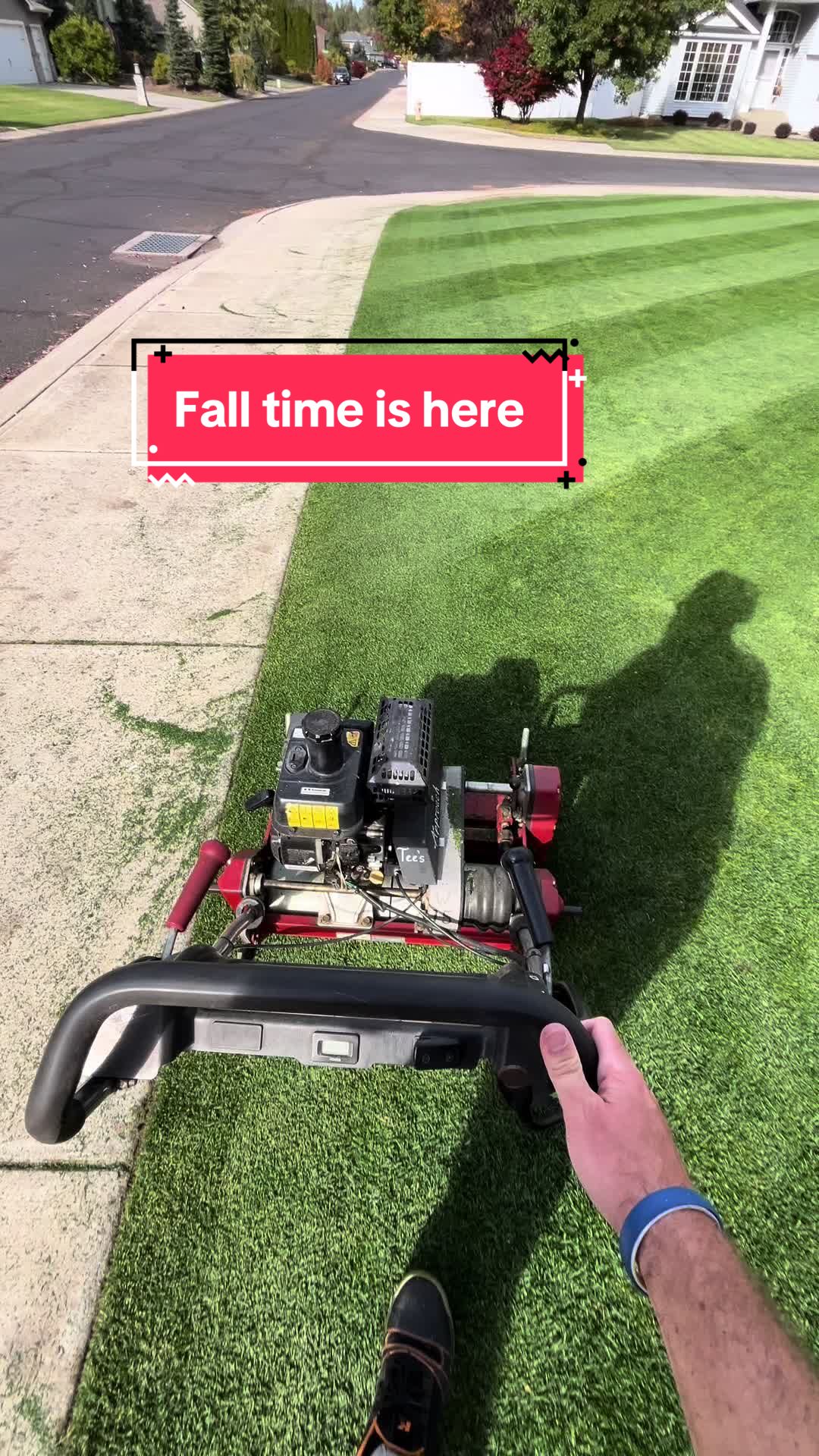 @Lawngest&ensp;Yard