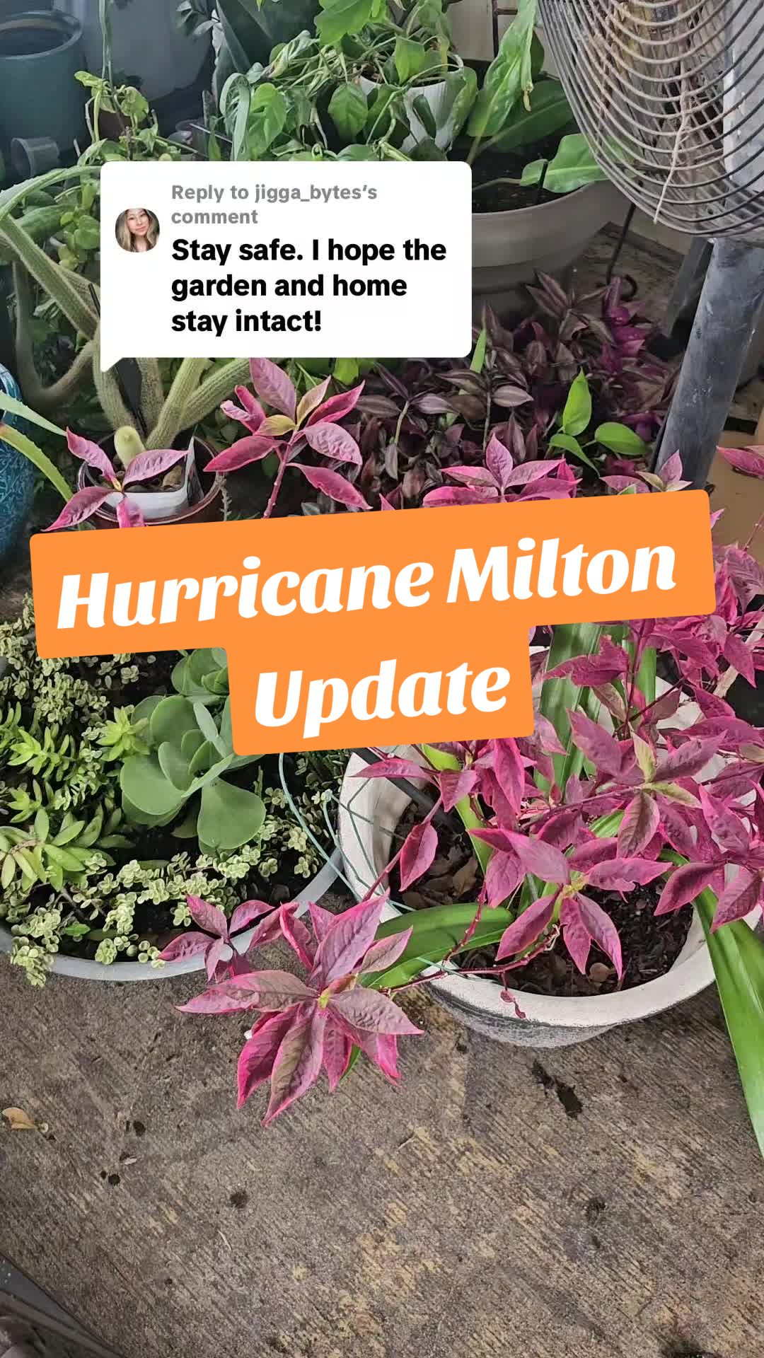 @#PlantGrowingTips