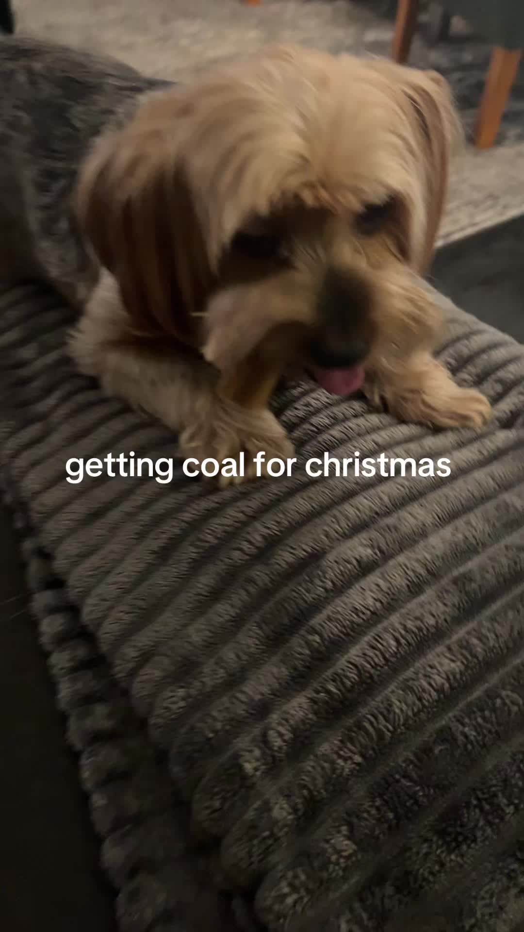 @kallirodoceanandre3000