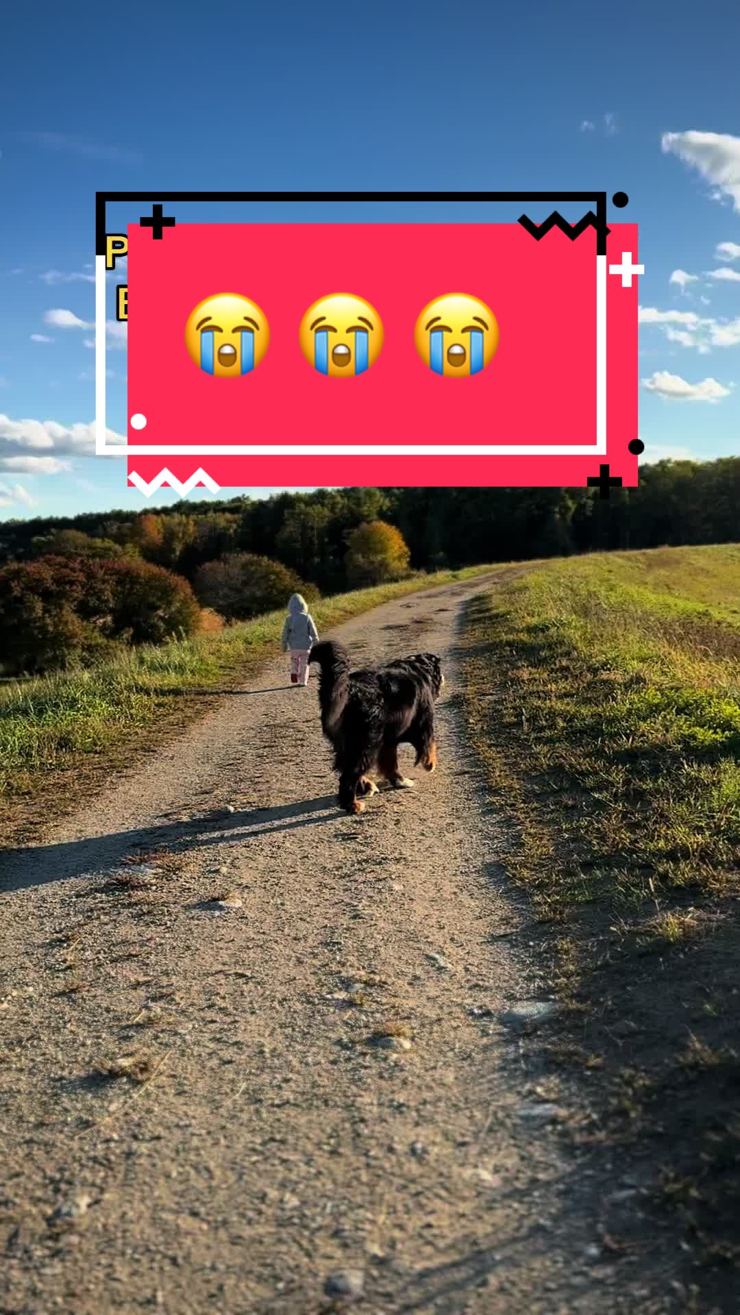 @Ivy the Berner