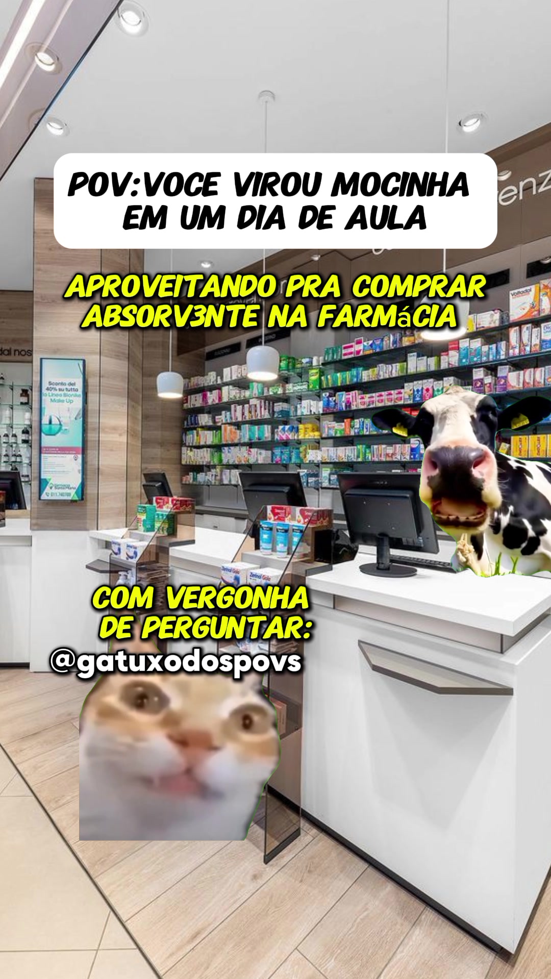 @Gatuxo Dos Povs Ofc