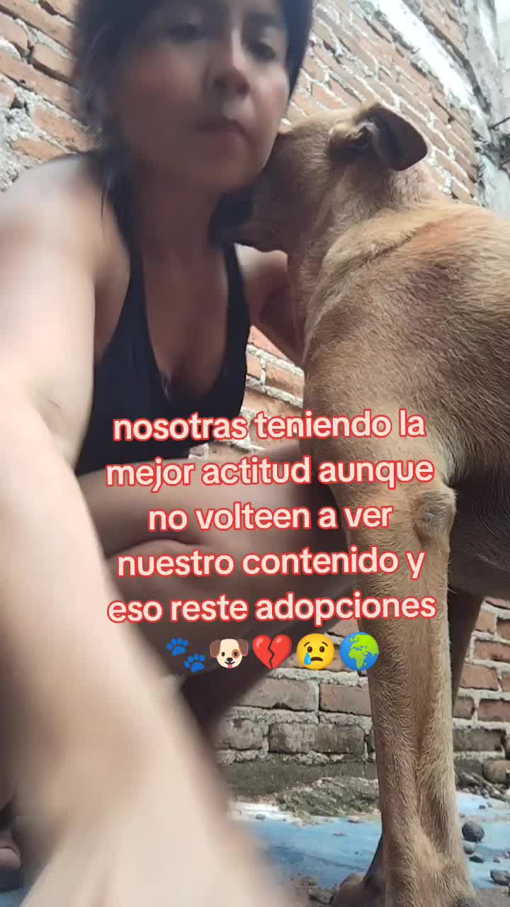 @Adriana Torres ACTUE