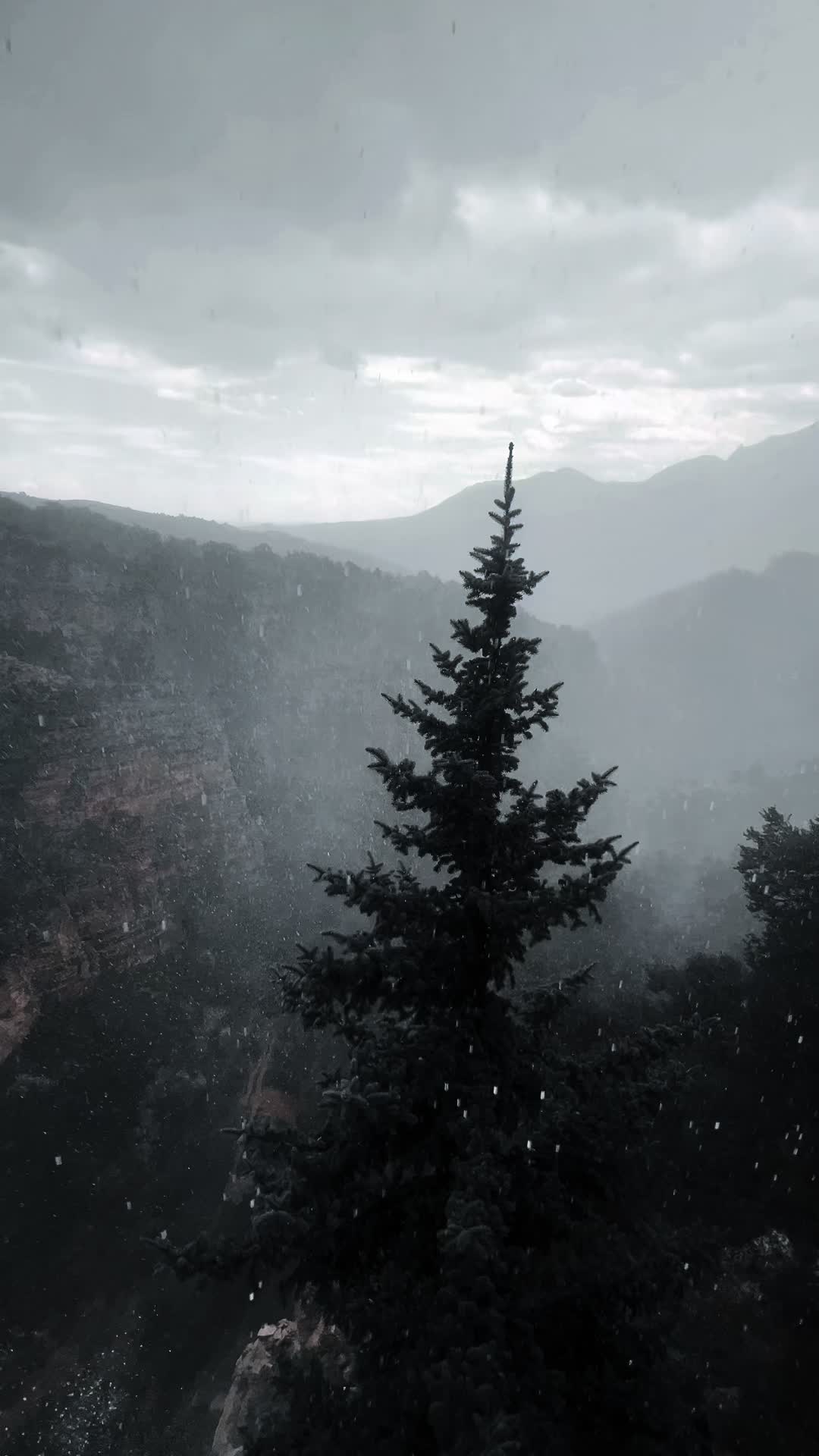 @SarcasmSunrise
